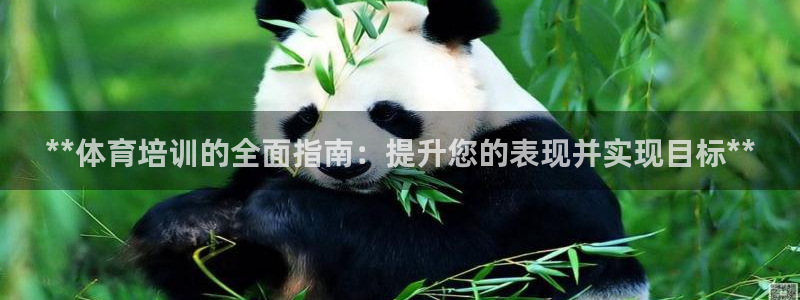 极悦娱乐现在叫什么：**体育培训的全面指南：提升您的表现并实