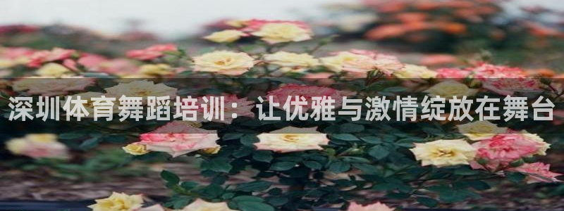 深圳极悦文化传媒有限公司：深圳体育舞蹈培训：让优雅与