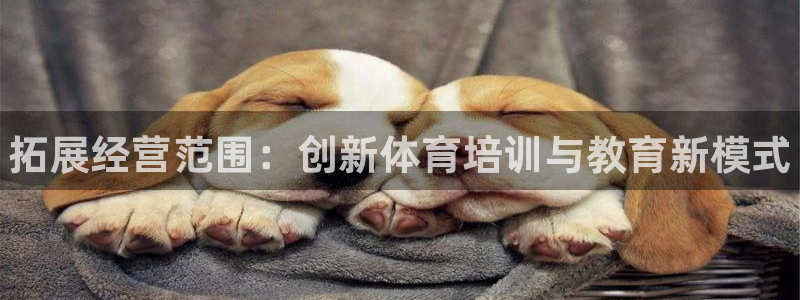极悦娱乐app官方版本更新内容在哪