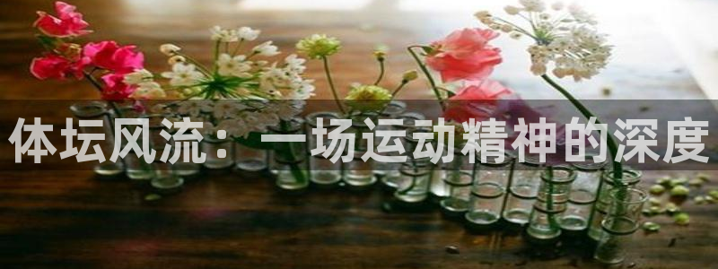 极悦平台是干什么的公司