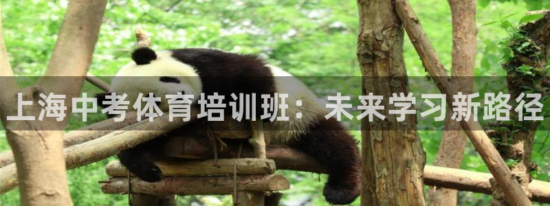 极悦平台注册流程详解视频：上海中考体育培训班：未来学习新路径