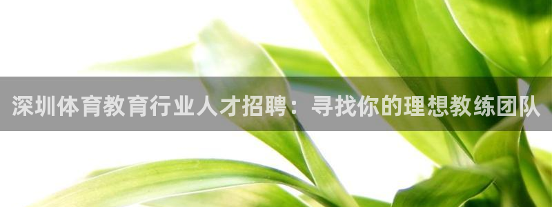 极悦平台登录好7.0.2.4安装：深圳体育教育行业人才招聘：