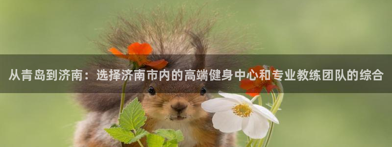 极悦平台官方网站下载