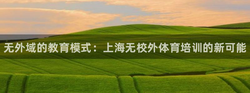 极悦娱乐是资金盘吗：无外域的教育模式：上海无校外体育培训的新