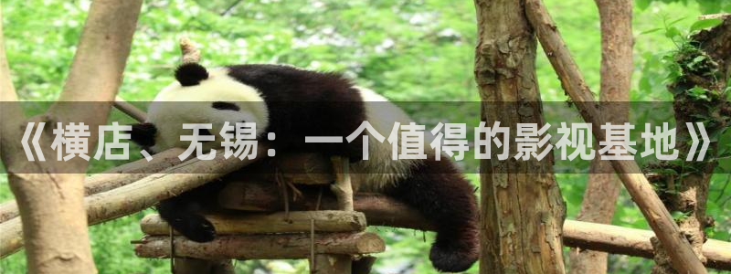 高清丫丫私人影院：《横店、无锡：一个值得的影视基地》