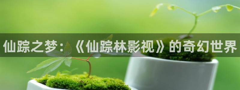 丫丫影院免费观看电视剧丫丫6080：仙踪之梦：《仙踪林影视》的奇幻世界
