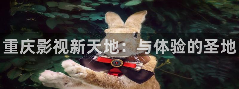 丫丫4480私人影院：重庆影视新天地：与体验的圣地