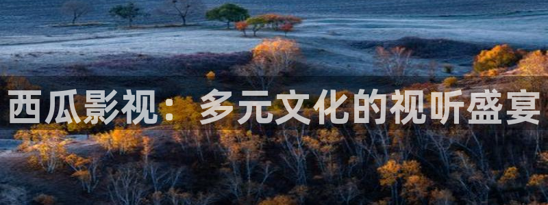 丫丫私人影院：西瓜影视：多元文化的视听盛宴