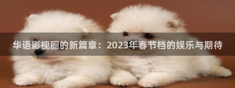 丫丫视频：华语影视圈的新篇章：2023年春节档的娱乐与期待
