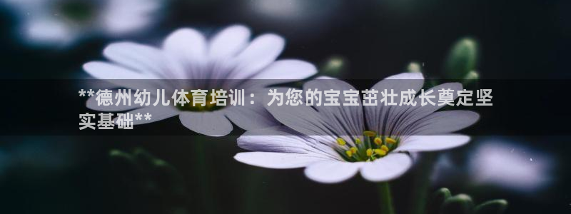 极悦平台登录不进去怎么回事呢：**德州幼儿体育培训：