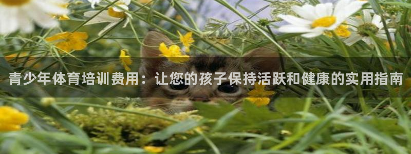 极悦娱乐代理怎么样：青少年体育培训费用：让您的孩子保