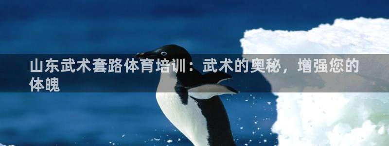 极悦娱乐官方网站：山东武术套路体育培训：武术的奥秘，