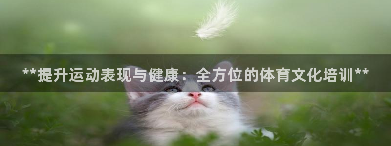 加盟极悦教育：**提升运动表现与健康：全方位的体育文