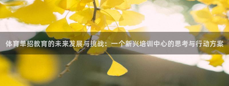 极悦平台注册登录入口在哪：体育单招教育的未来发展与挑