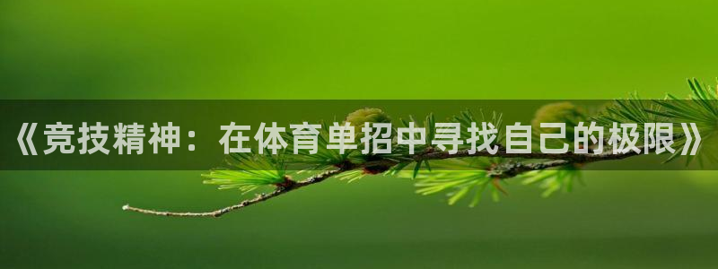 极悦平台注册失败如何解决问题：《竞技精神：在体育单招中寻找自