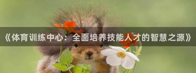 极悦平台注册申请流程详解图：《体育训练中心：全面培养