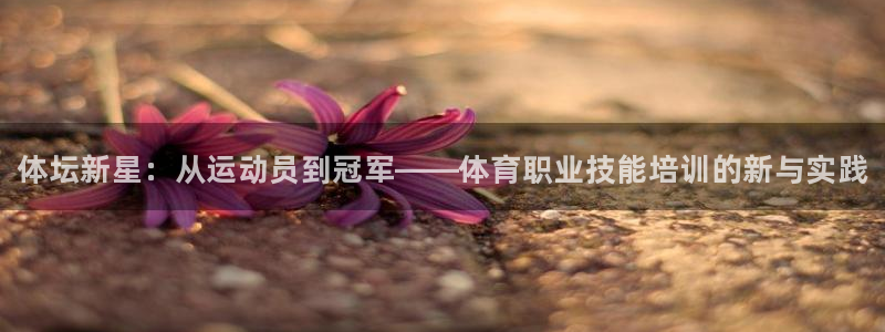 石家庄极悦空间设计有限公司：体坛新星：从运动员到冠军